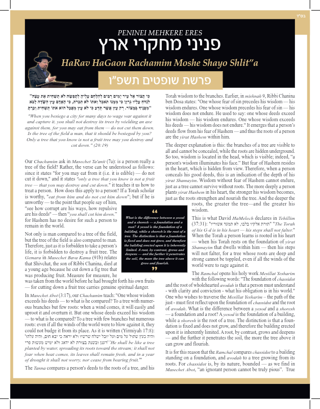 First page preview of Peninei Mechkerei Eretz