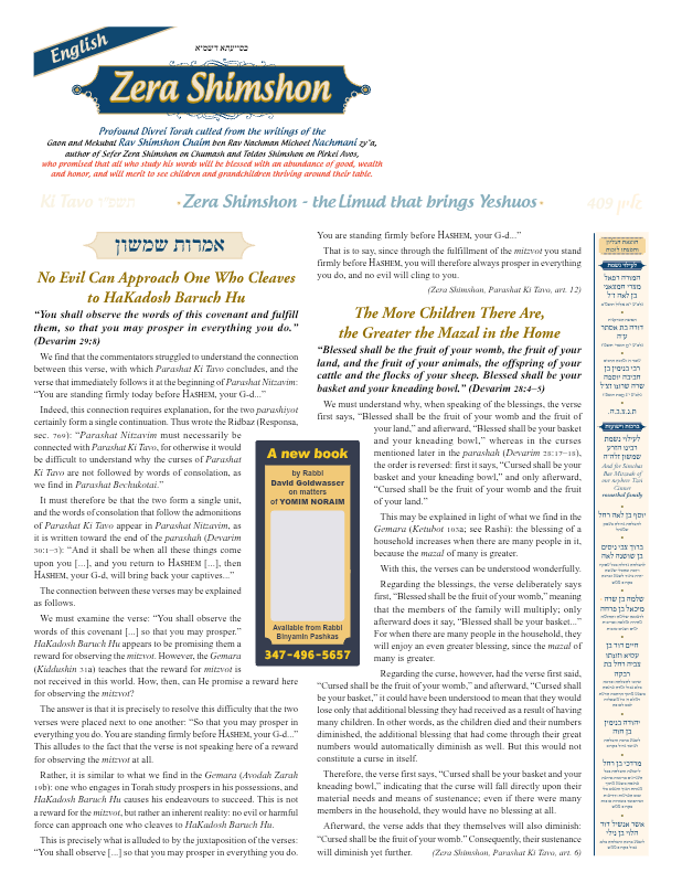 First page preview of Zera Shimshon