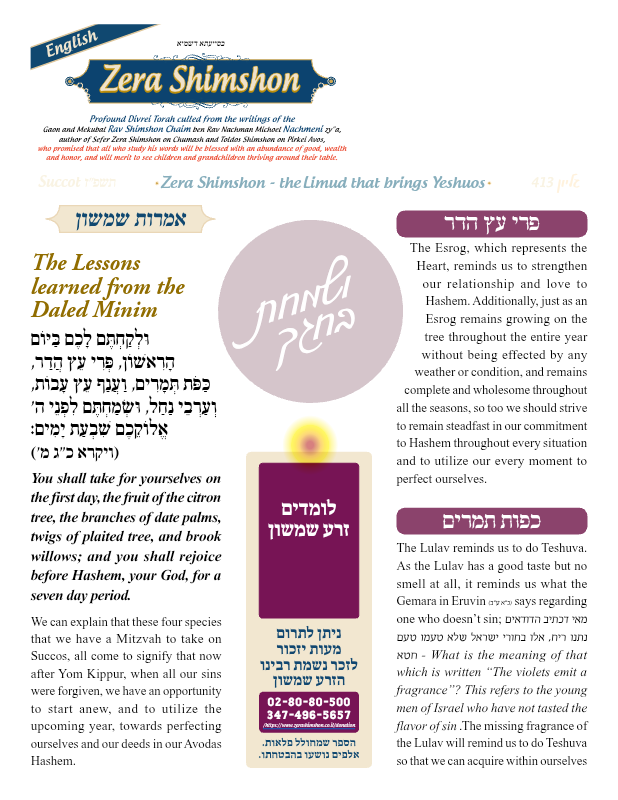 First page preview of Zera Shimshon
