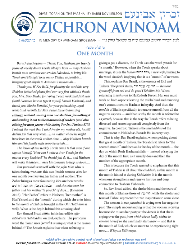 First page preview of Zichron Avinoam 20th Anniversary Edition