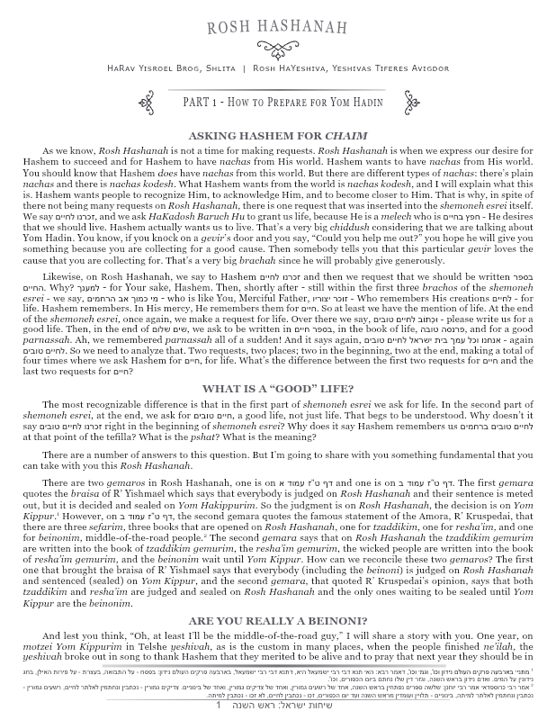 First page preview of Sichos Yisroel