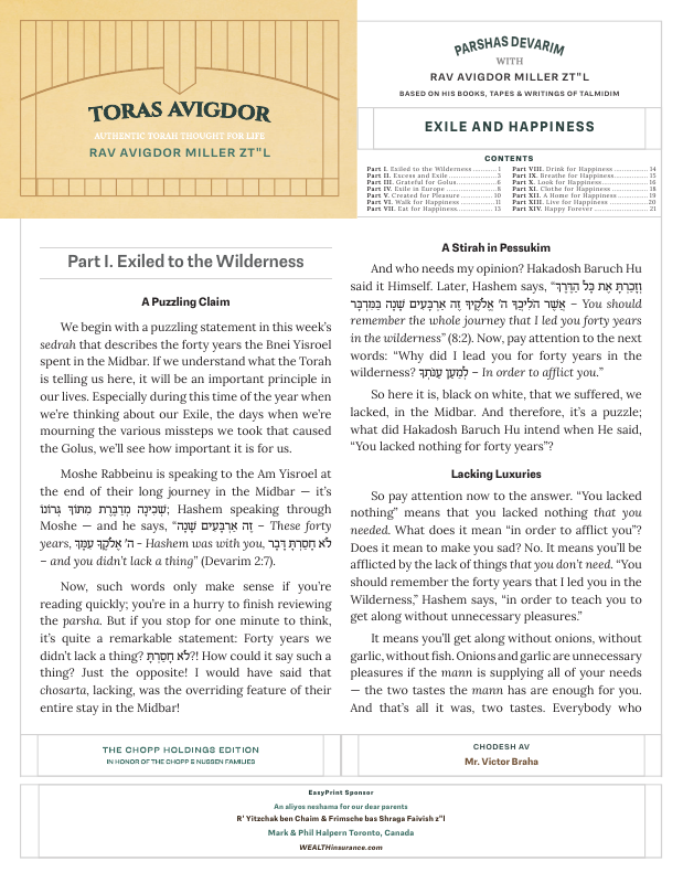 First page preview of Toras Avigdor
