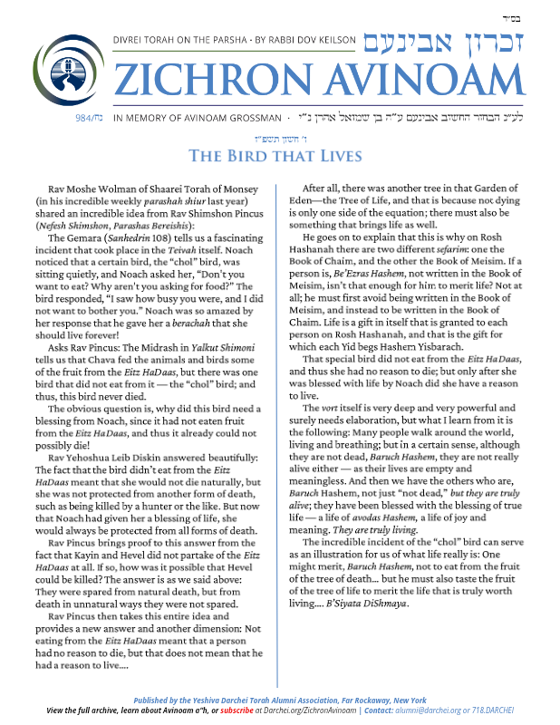 First page preview of Zichron Avinoam
