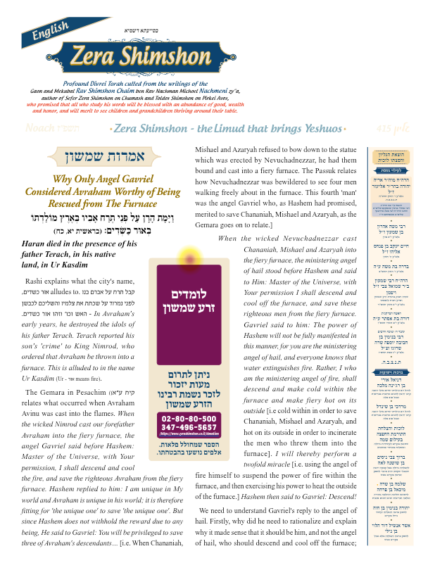First page preview of Zera Shimshon