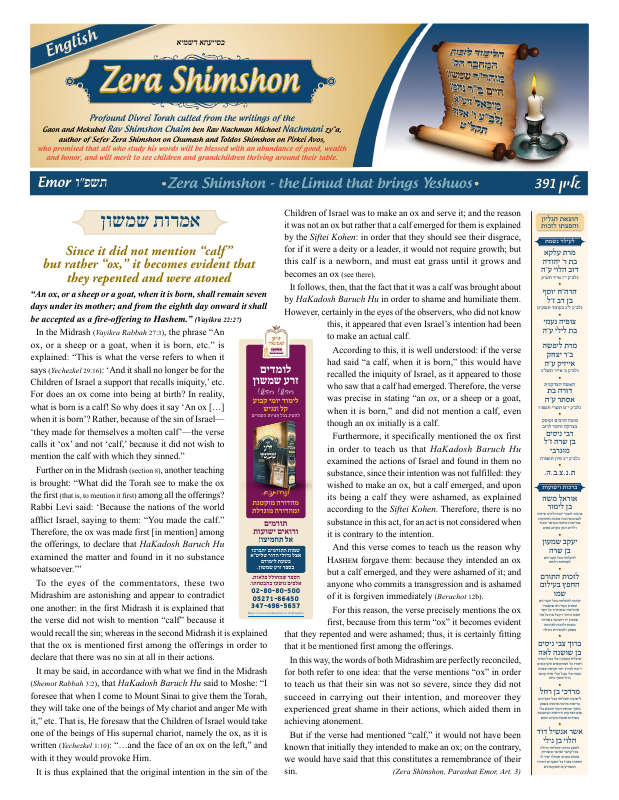 First page preview of Zera Shimshon