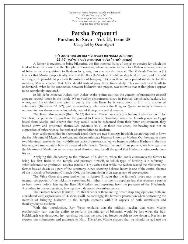 First page preview of Parsha Potpourri