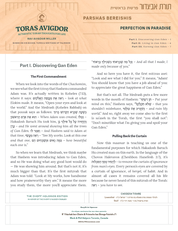 First page preview of Toras Avigdor