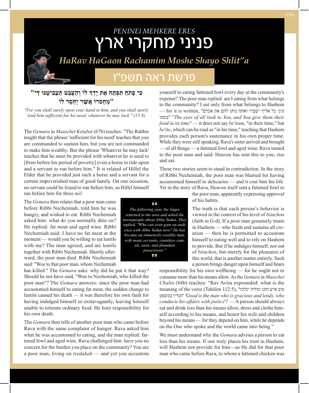 First page preview of Peninei Mechkerei Eretz