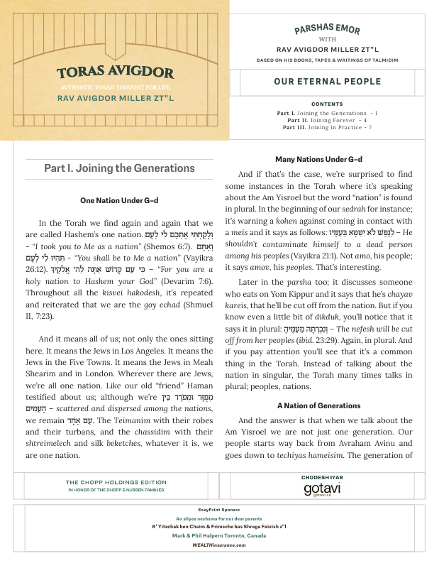 First page preview of Toras Avigdor