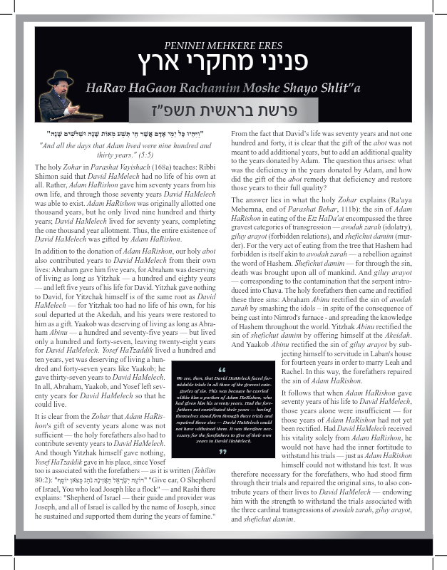First page preview of Peninei Mechkerei Eretz