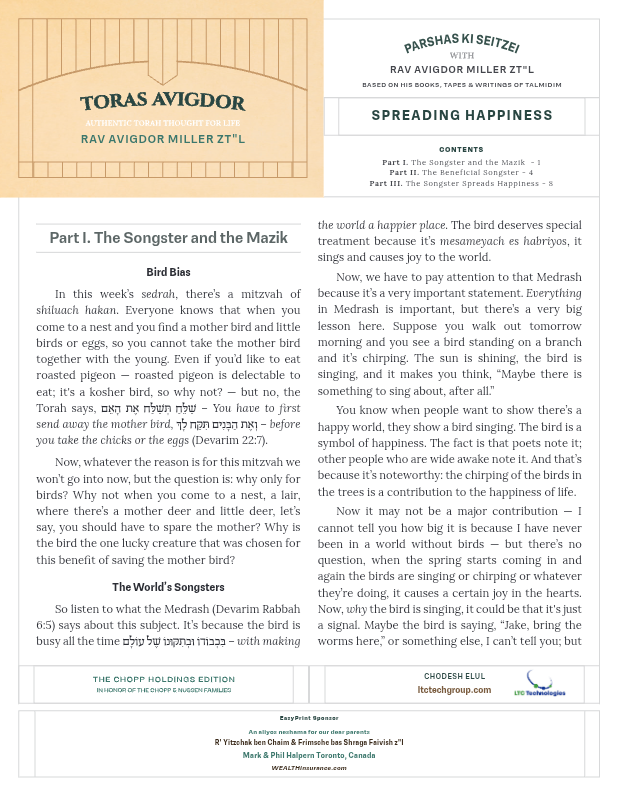 First page preview of Toras Avigdor