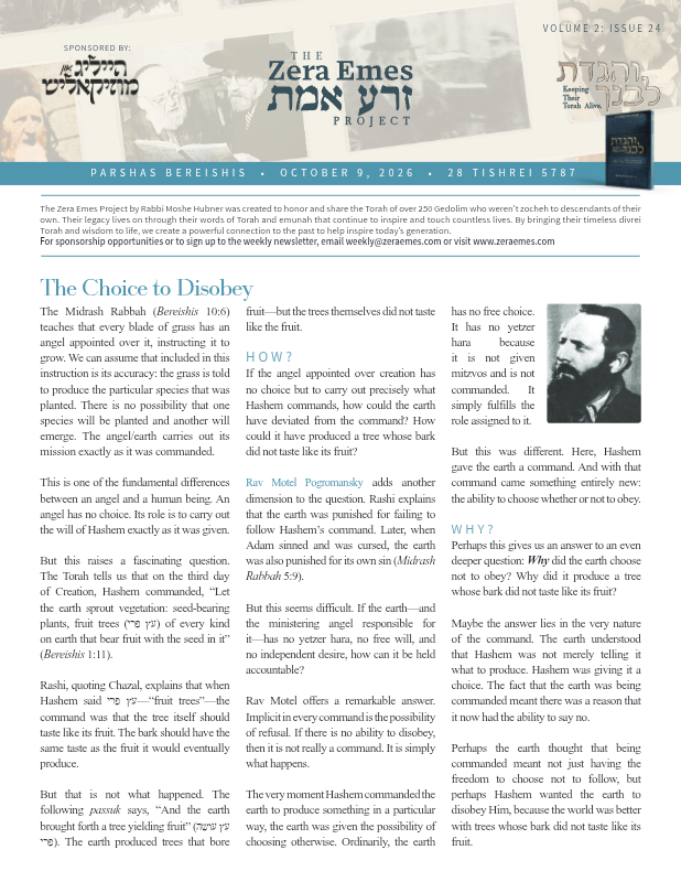 First page preview of Zera Emes