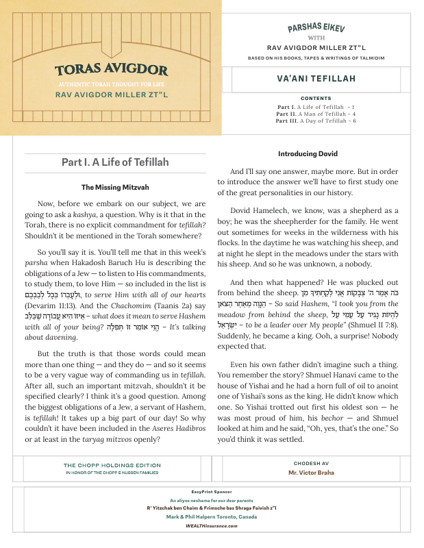 First page preview of Toras Avigdor