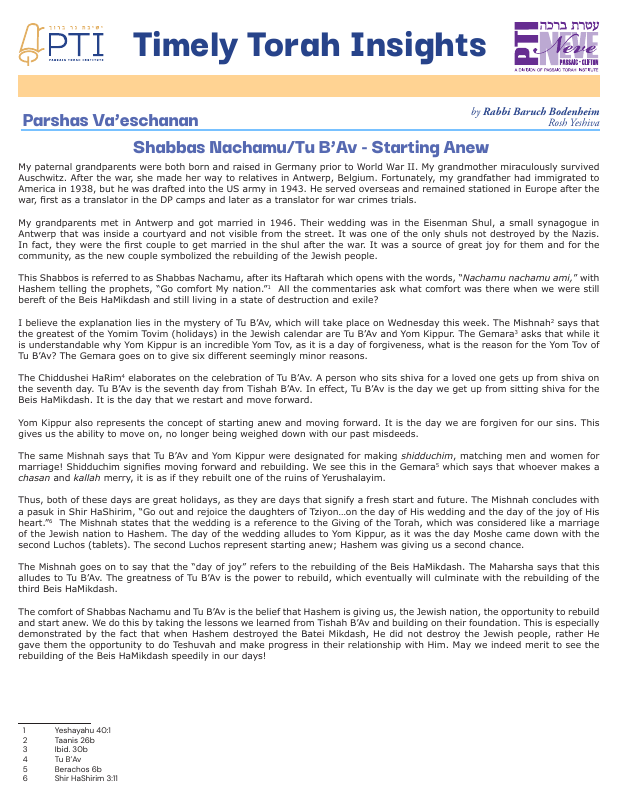 First page preview of Timely Torah Insights