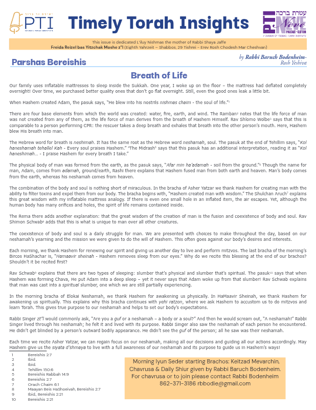 First page preview of Timely Torah Insights