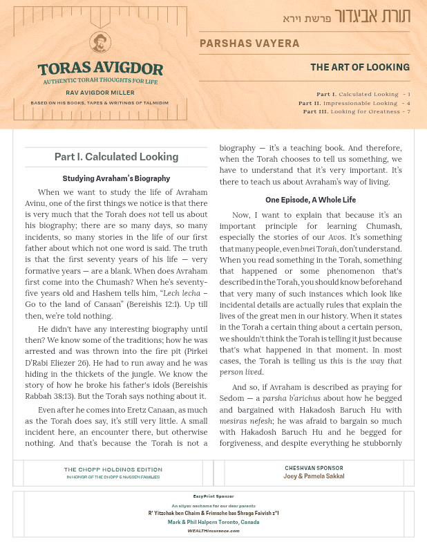 First page preview of Toras Avigdor