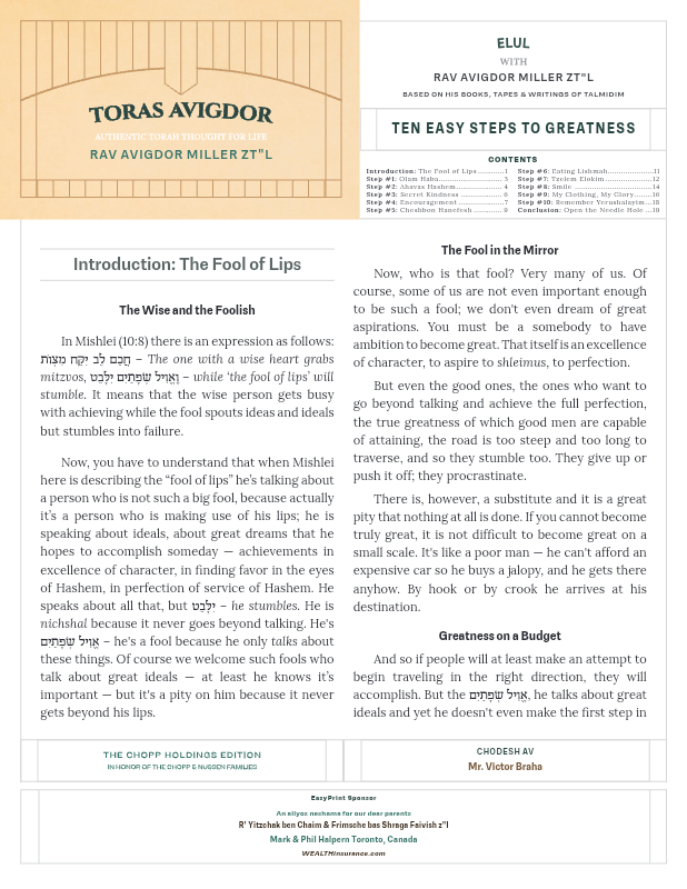 First page preview of Toras Avigdor